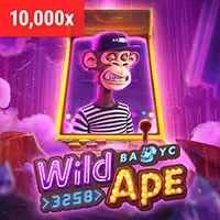 FIVE88 Treasure Map